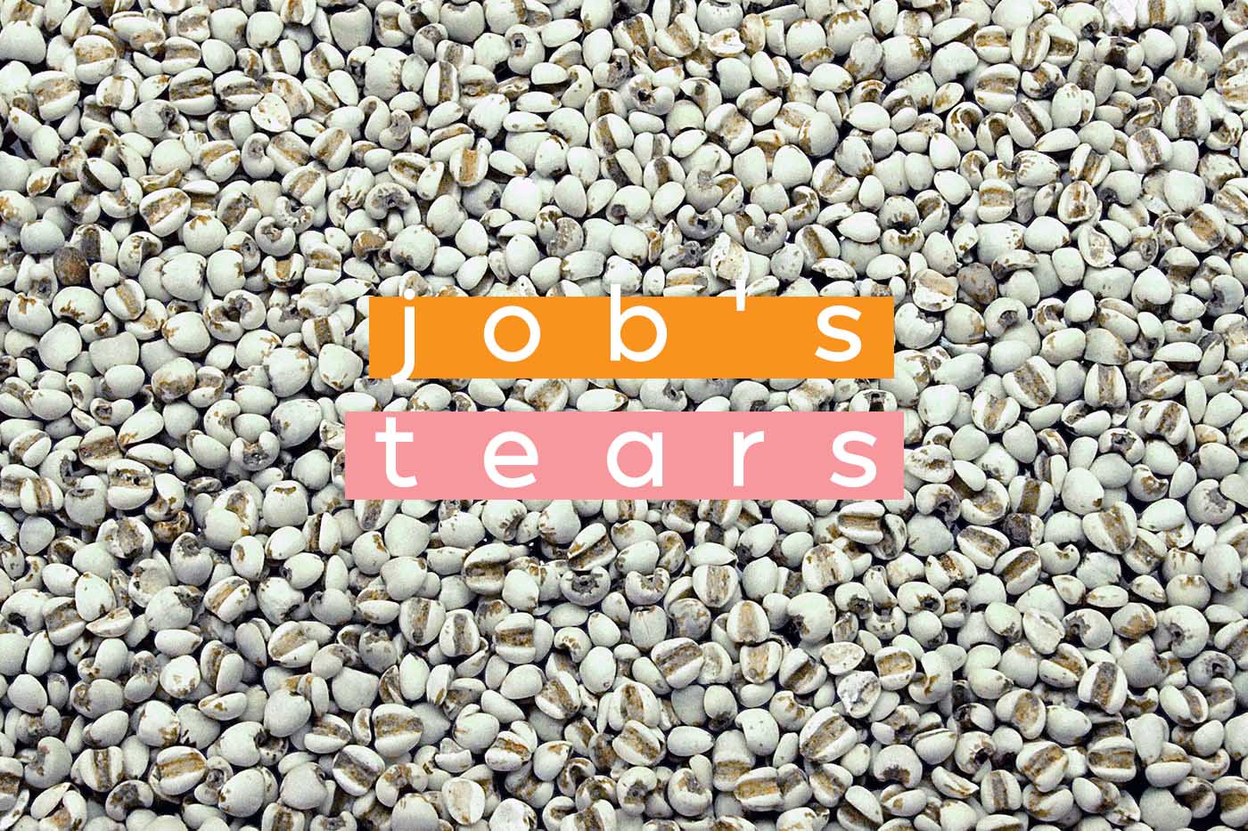 How to Cook With Job's Tears - Bon Appétit